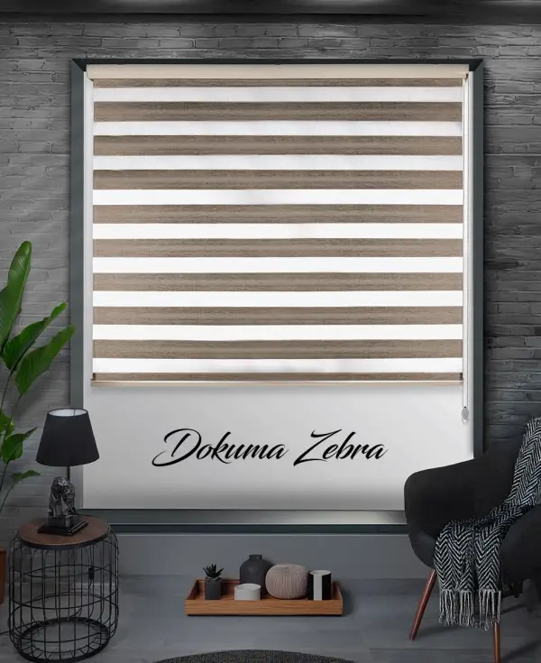 Dokuma Zebra